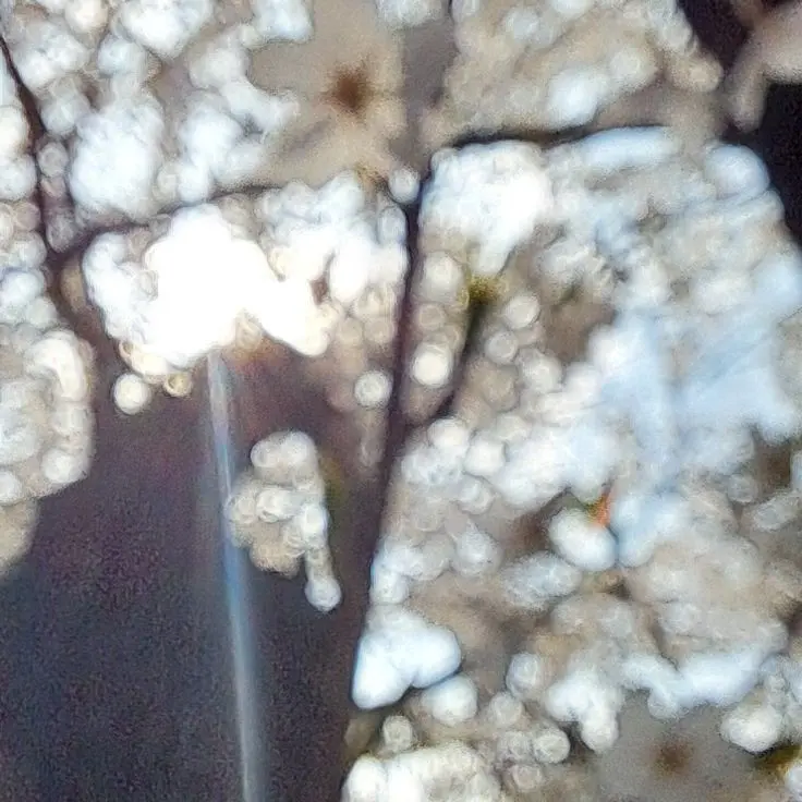 PaltrySitar_Eve0721의 조성모