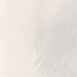 Profile image of 新谷 寛也