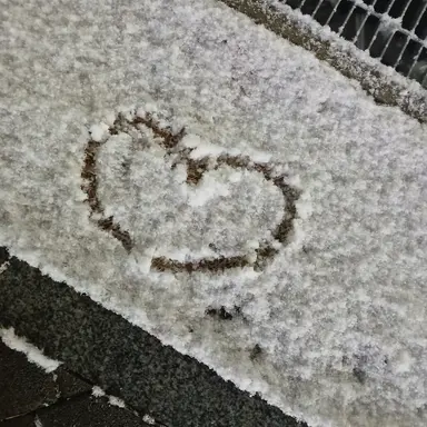 Profile image of 아름