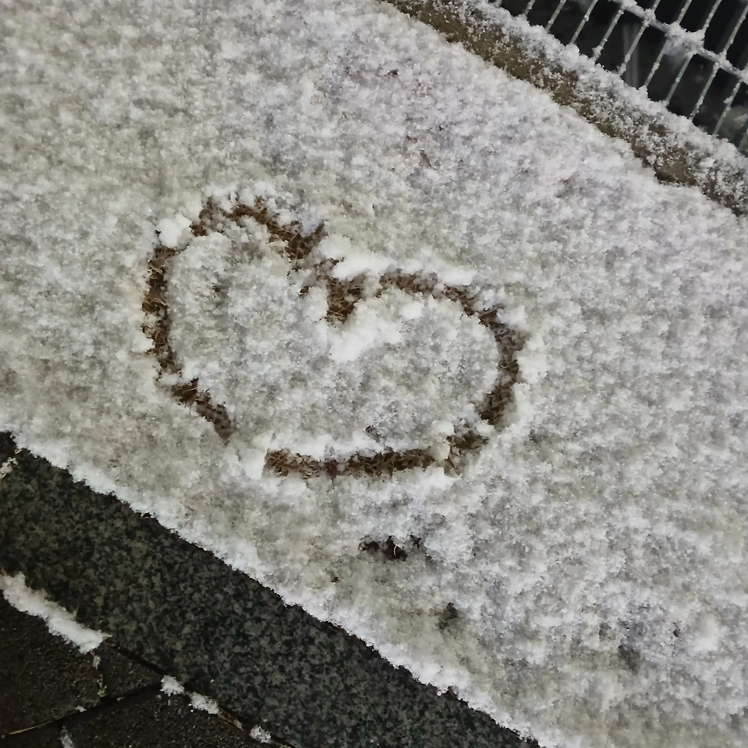 Gogo_friends의 ".. 다시 아파오기 싫어."