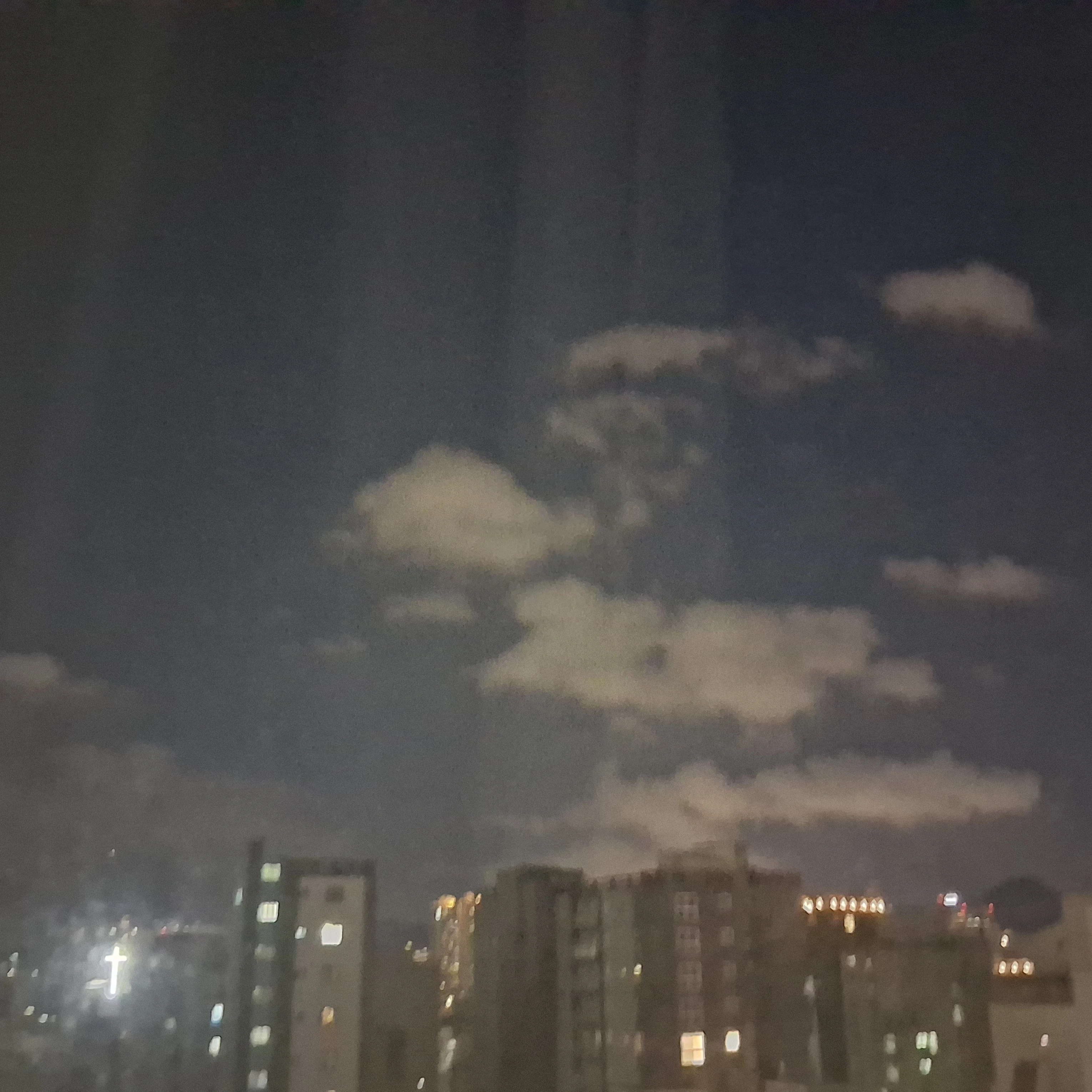 유하민