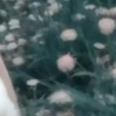 Profile image of Donna