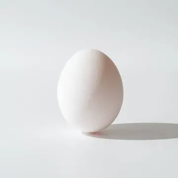 nikunikiminchi의 卵
