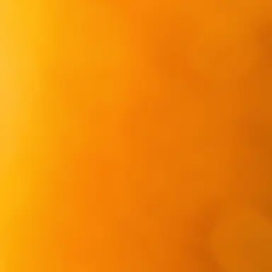 Profile image of 유기사