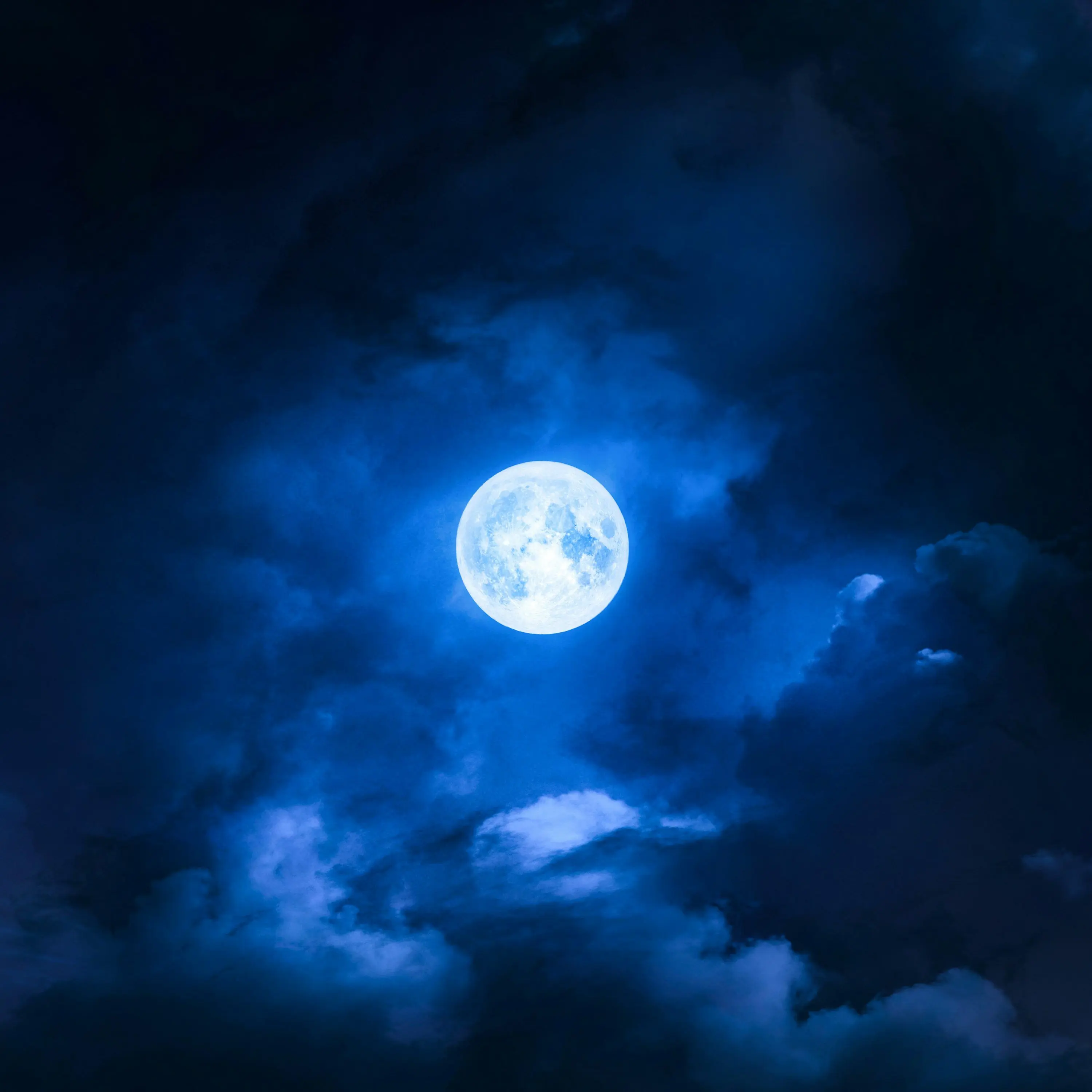 YeastySash9766의 数多平安の夜に月がいる