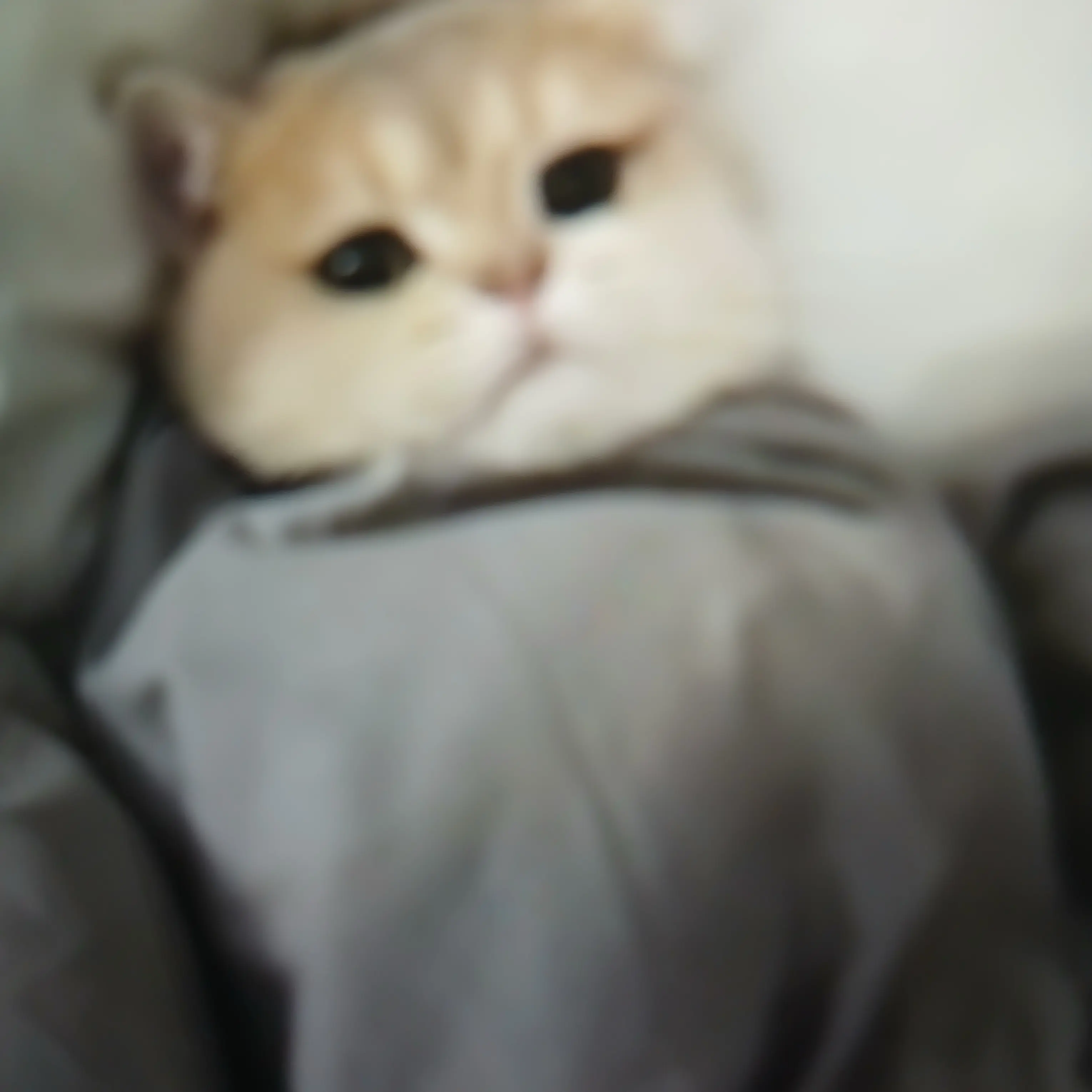 SlimyYawn7510의 뉴뉴