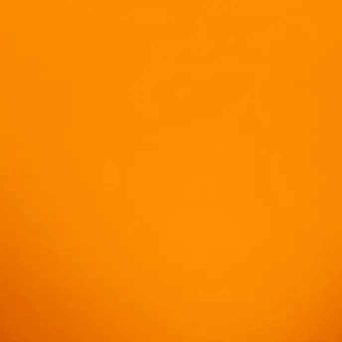 Mizu_neko0206.의 向井康二