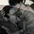 장대현