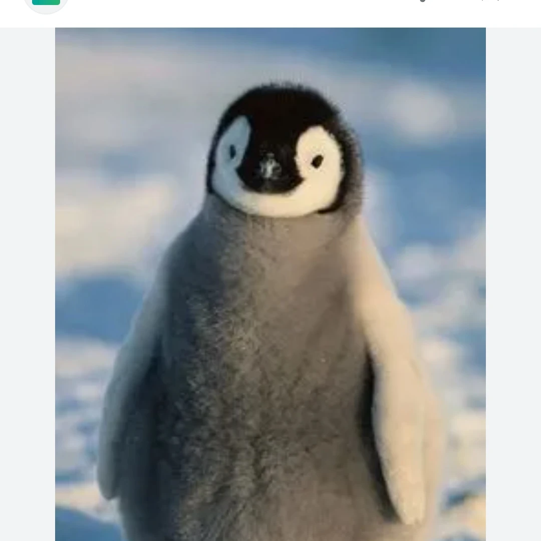 황펭귄