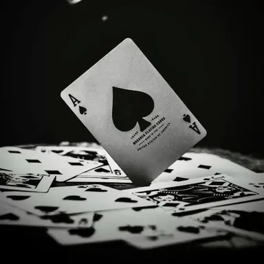 Profile image of Enzo
