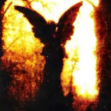 Profile image of 쪼만