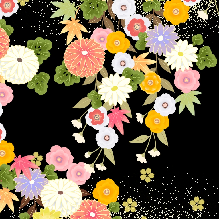 菊