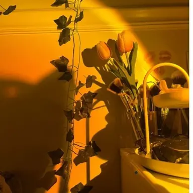 Profile image of 덕개