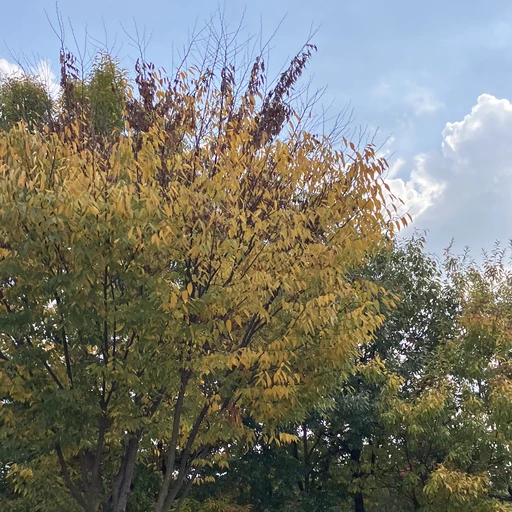 계급세상
