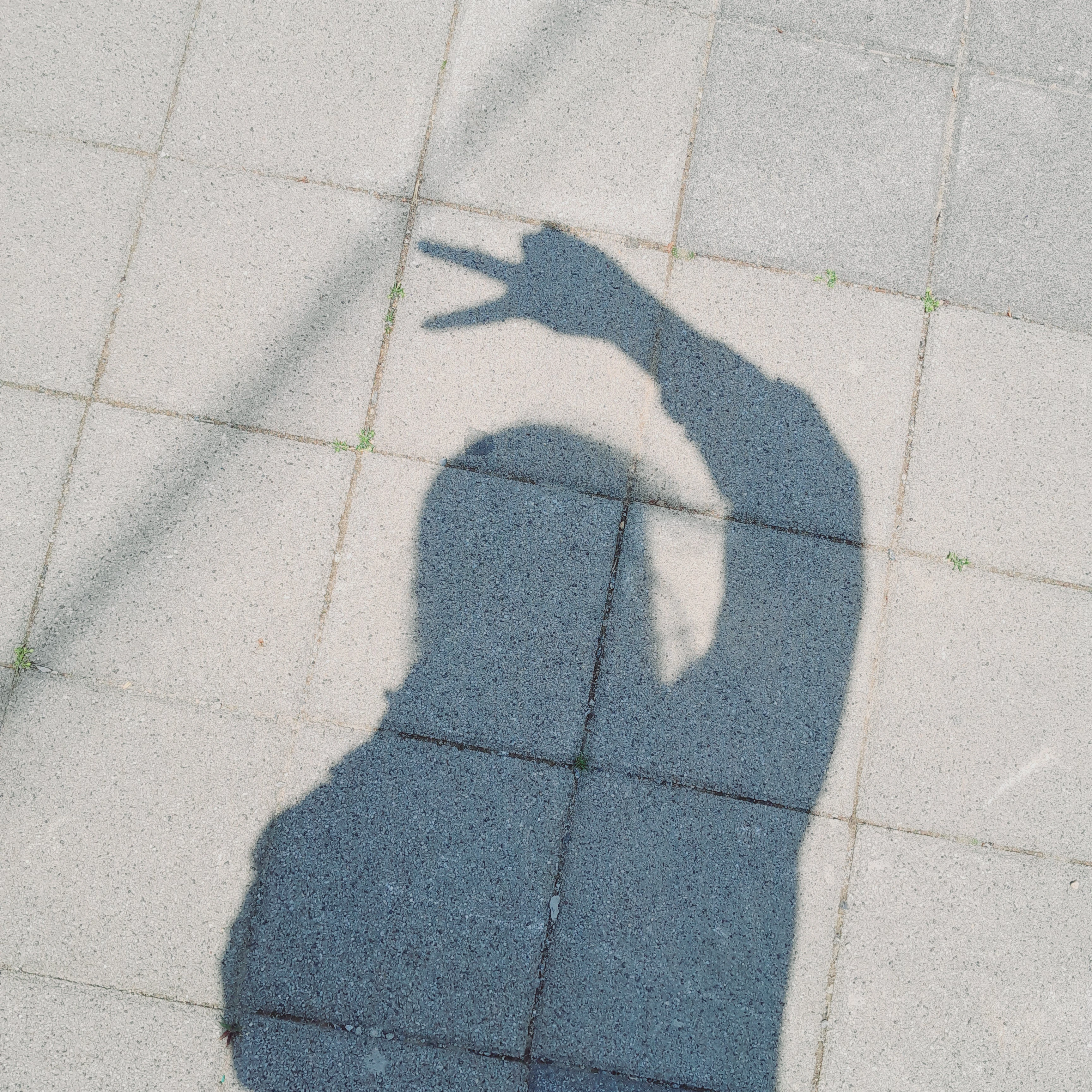 몽룡