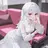 셀레나
