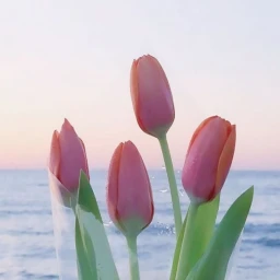 은하