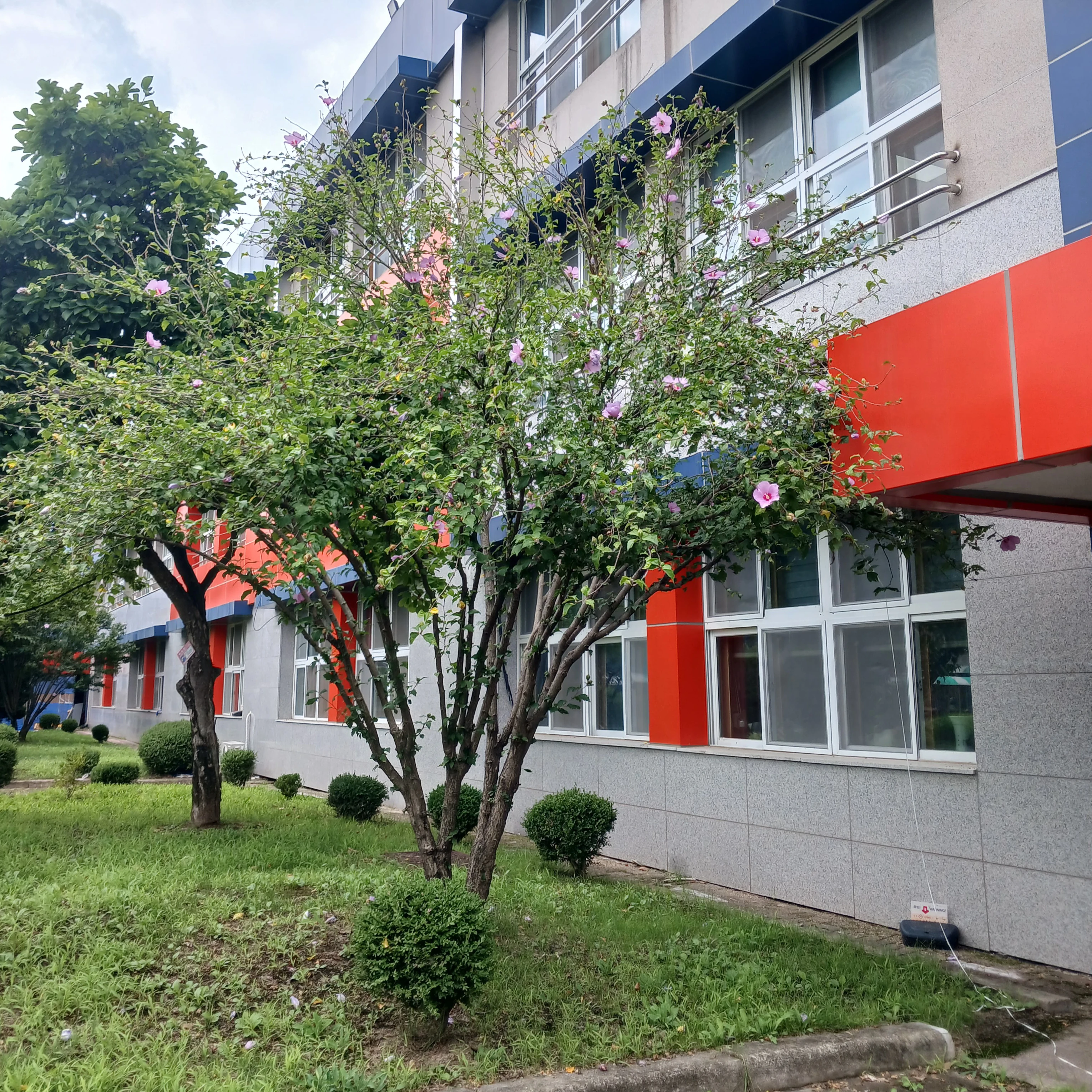 명문 대학교
