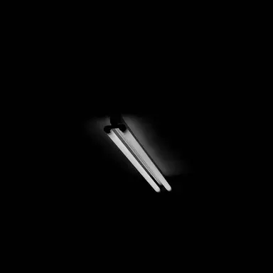 Profile image of 라더