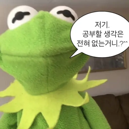 vo.xn2의 공부하라는개구리