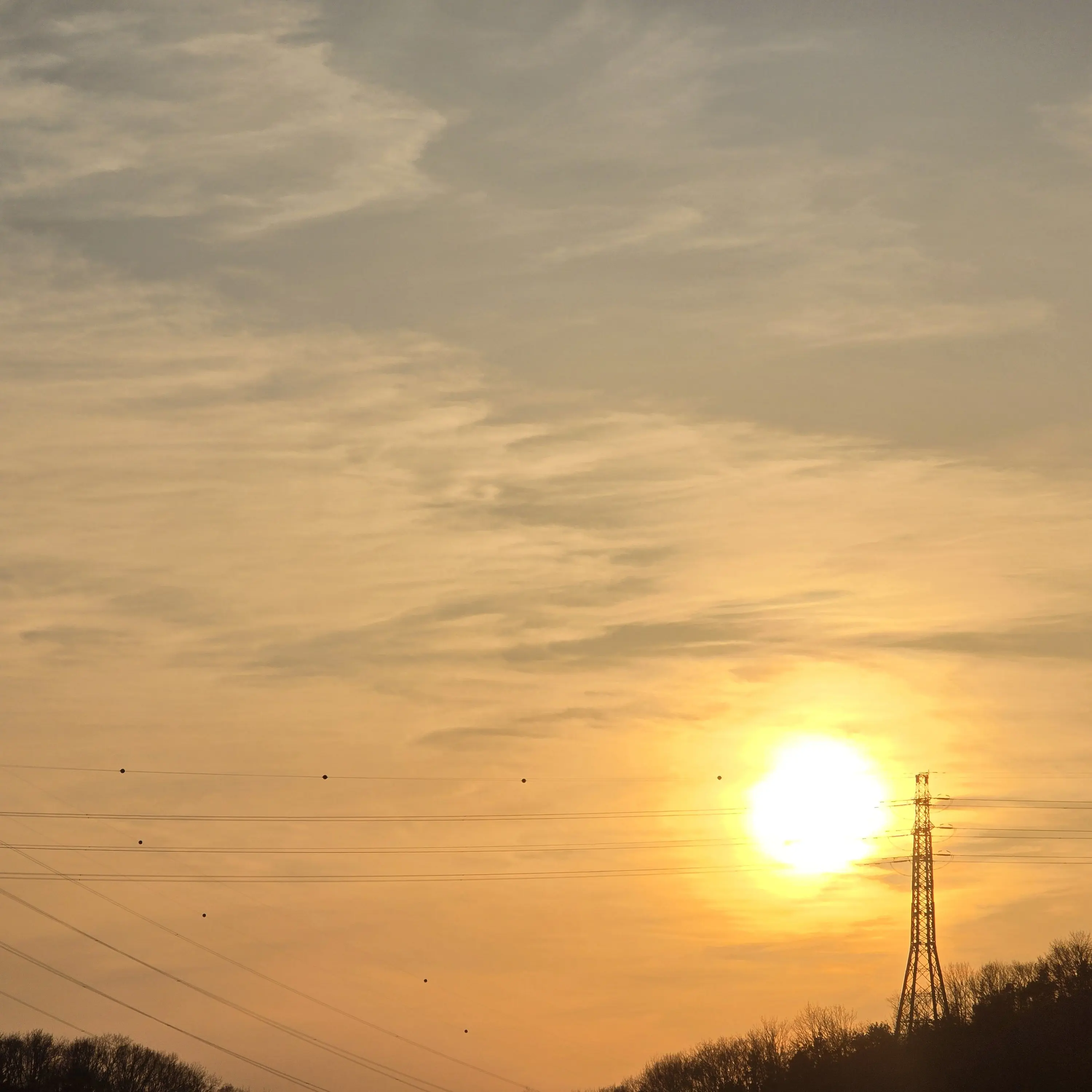 GustyRice6738의 밴드부vs방송부(라이벌 팀나빠)