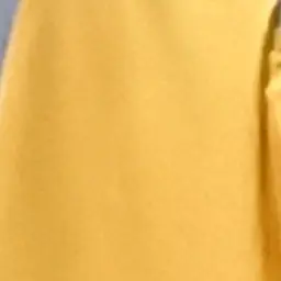 Profile image of 岩本照