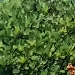 Profile image of 阿部亮平