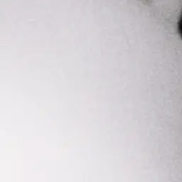 MeagerDream3441의 장하오