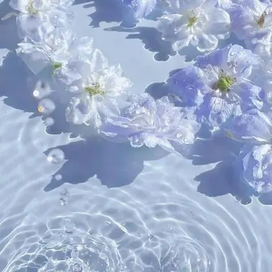 Profile image of 조나단