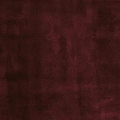Profile image of 팽