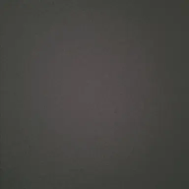 Profile image of 조교