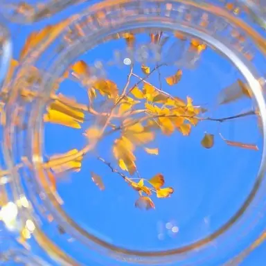 Profile image of 두밥