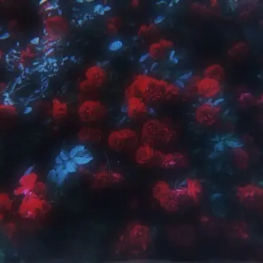 Profile image of 진