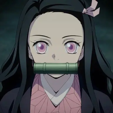 Profile image of 禰豆子