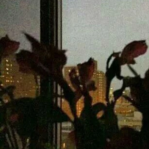 노지선