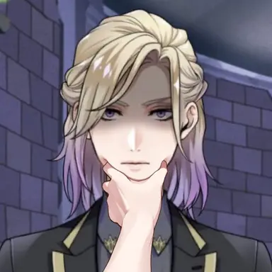 Profile image of Vil Schoenheit