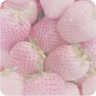Profile image of めう_きるあ推し