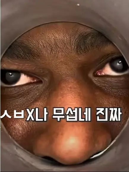 seysey_yesyes의 <취향 중학교>