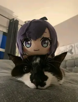 Profile image of 아사히나 마후유