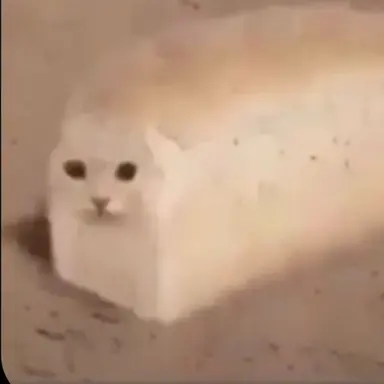Profile image of 플레어