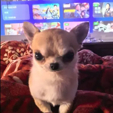 Profile image of 카랠드
