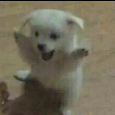 Profile image of 러브레터
