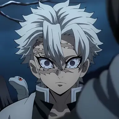 Profile image of 시나즈가와 사네미