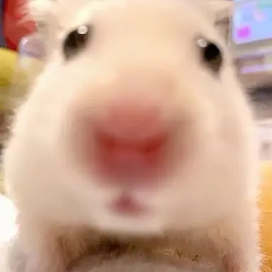 Profile image of 남자애들