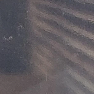현