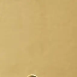 Profile image of 남궁 준