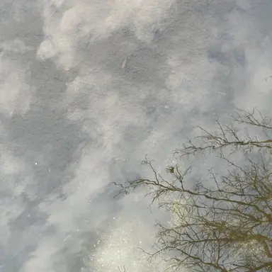 Profile image of 空