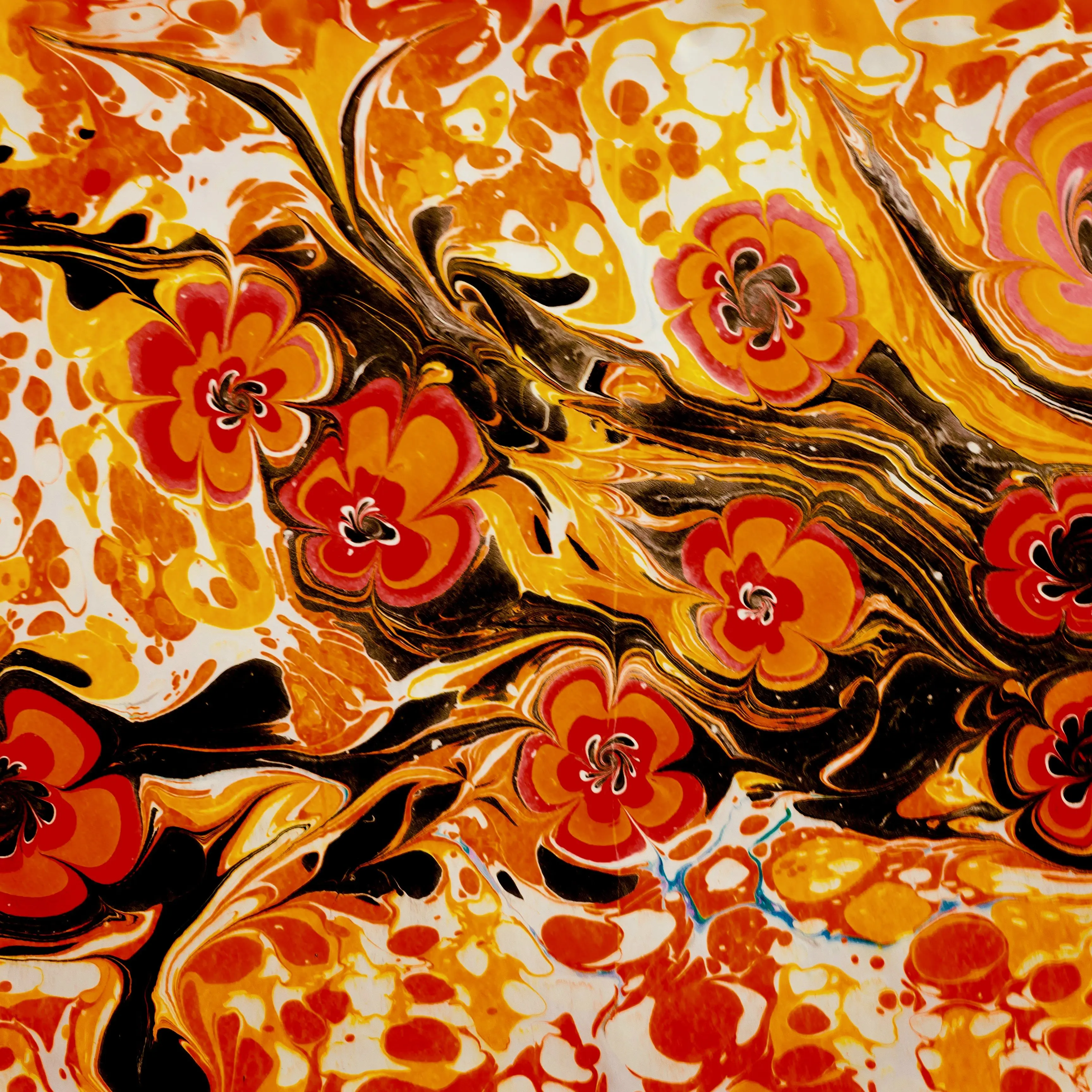 msg_1113의 天命流轉