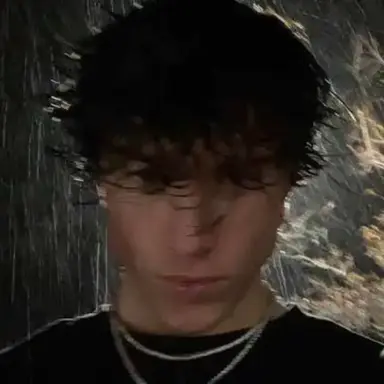 Profile image of Marco Bellini