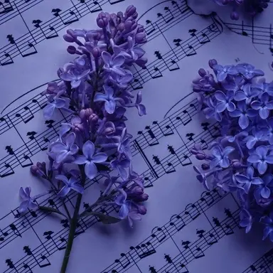 Profile image of 이루마